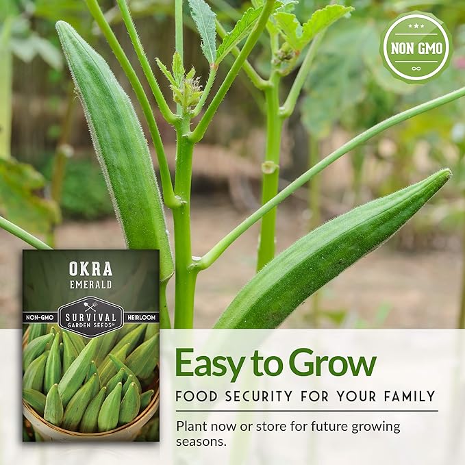 Survival Garden Seeds - Emerald Okra Seed for Planting - Packet with Instructions to Plant and Grow Tender and Large Okra in Your Home Vegetable Garden - Non-GMO Heirloom Variety - 2 Pack