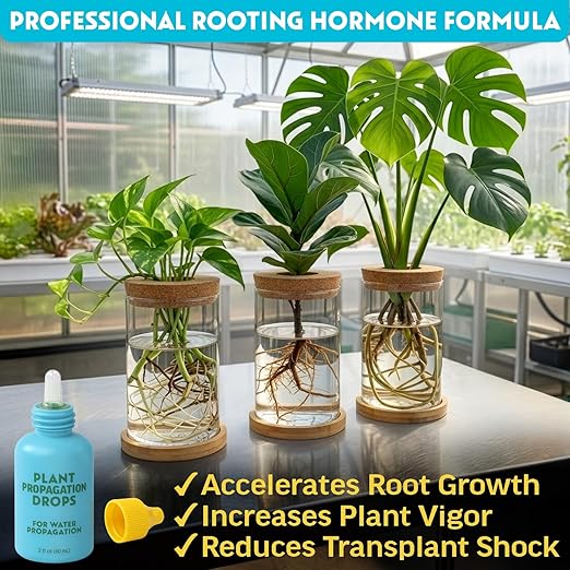 Rooting Drops for Plant Propagation | for Faster, Stronger Roots & Less Shock | Propagation Drops for Water, Soil, Moss, & More! Supports Plant Health During Repotting | for All Your Props & Cuttings