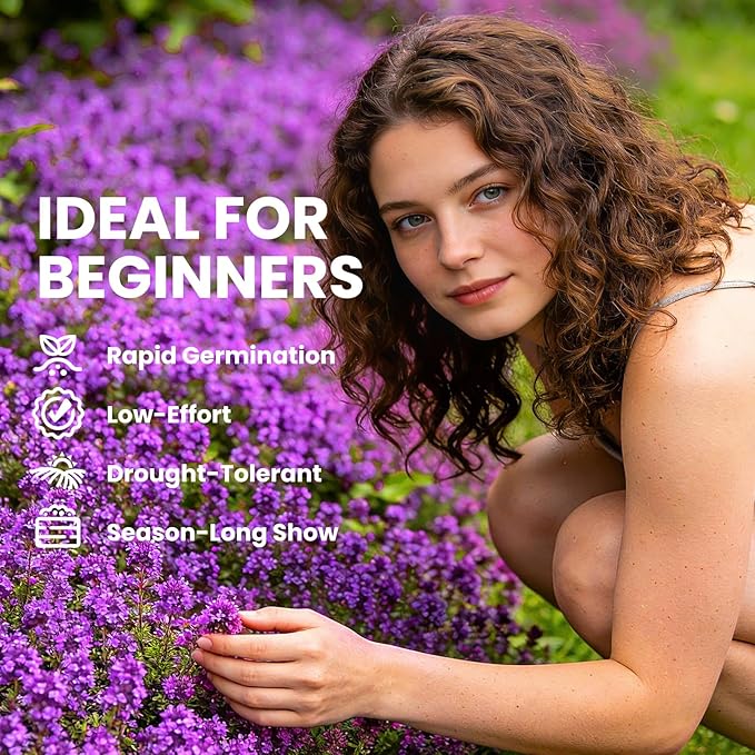 20000+pcs Creeping Thyme Seeds for Planting, Perennial Ground Cover Plants Heirloom Flowers Seeds Fragrant Herb Seeds for Lawns & Paths Garden