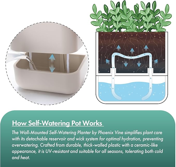Phoenix Vine 6.5-Inch Wall Mounted Self-Watering Planter Pot for Indoor Houseplants and Herbs | Hanging Planter for Window Sills, Bathroom Walls, Home & Office Décor, Oatmeal, Set of 1, 01-WP-D-1