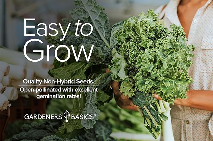 Gardeners Basics, Kale Seeds for Planting, Heirloom, Non-GMO Vegetable Variety - Great for Indoor, Outdoor, and Hydroponics Gardening (Vates Blue Scotch Curled)