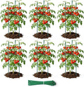 6 Pack Tomato Cages for Garden, Up to 48in Adjustable Tomato Cage, Tomato Stakes Plant Cage for Garden Plant Support, Climbing Vegetables Plants Flowers