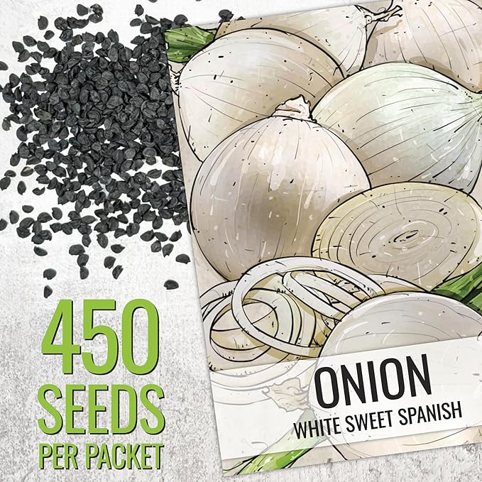 Seed Needs Onion Seeds for Planting White Sweet Spanish Long Day Onions - Non-GMO Heirloom & Untreated Vegetable Seeds to Plant an Outdoor Home Grown Veggie Garden (5 Packs)