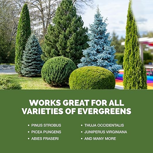 Evergreen Tree Fertilizer – Liquid Plant Food for Rich Green Needles, Stronger Roots & Healthy Year-Round Growth, 32 oz