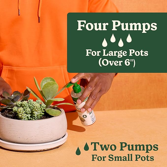 Miracle-Gro Indoor Plant Food for Cactus and Succulent, Liquid Plant Food for Indoor Succulents and Cactus, 8 fl. oz. (3-Pack)