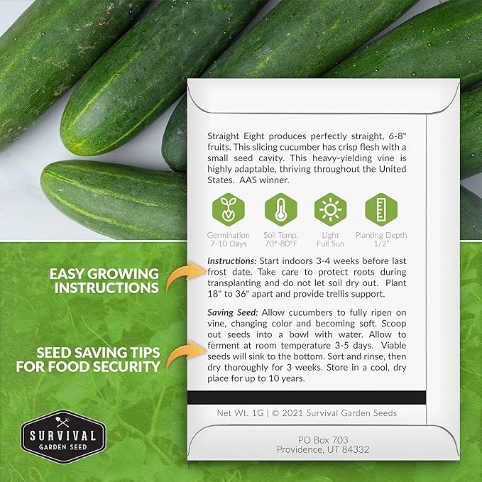 Vegetable Seeds for Planting 10 Variety Pack – Heirloom Garden Seed Packs to Grow Tomato, Lettuce, Onion, Cucumber, Squash & Other Vegetables – Non-GMO Family Garden Kit – Survival Garden Seeds