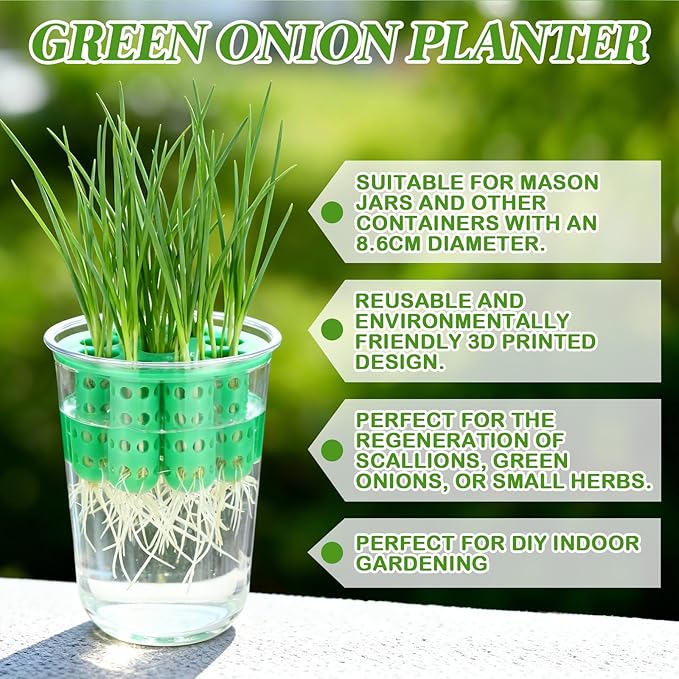 4 Pack Green Onion Planter Scallion Grower Seed Sprouting Kit Compatible with Regular Mouth Mason Jar for Windowsill Garden, Hydroponics, and Propagation Hydroponics Enthusiasts (Green)