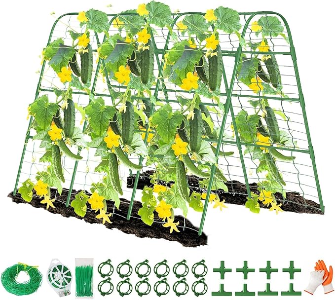 63" Tall Cucumber Trellis for Raised Garden Bed U-Frame Arch Tunnel Trellis Metal Tomato Cage Plant Support Stand for Peas,Bean,Grapes,Flowers,Vines Climbing Plants Outdoor