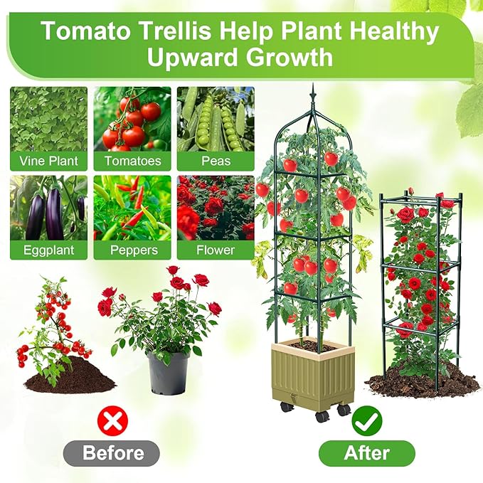 Raised Garden Bed Planter Box with Trellis, 71" Self-Watering Tomato Planter with Wheels for Climbing Vegetable and Plants, Tomato Cage Planters for Indoor Outdoor Patio Greenhouse Gardening (A)