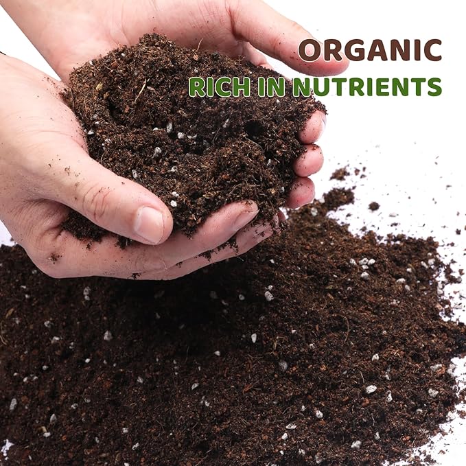 Premium Lucky Bamboo Soil Mix 1qt, Indoor Plants Potting Mix for All Potted Luncky Bamboo, Promote Healthy Growth and Longevity