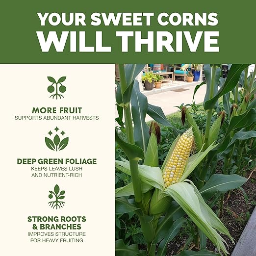 Sweet Corn Fertilizer – Liquid Plant Food for Bigger Ears, Vigorous Stalk Growth & Stronger Root Development, 32 oz