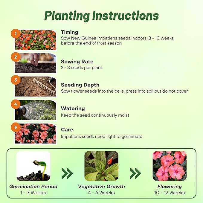 Outsidepride New Guinea Orange Sweet Impatiens Seeds - 50pcs High-Density, Annual Flower Seeds for Planting Outdoors for Large Packs, Patio Containers, Hanging Baskets & Small Pots (AAS Winner)