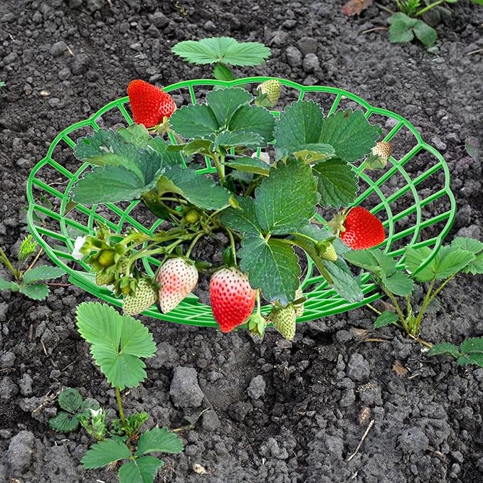 20 Pack Strawberry Supports, Strawberry Plant Stand With 3 Sturdy Legs, Strawberry Growing Racks, Strawberry Growing Frame Holder Cage, Keeping Berries Clean