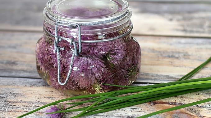 Gaea's Blessing Seeds - Chives Seeds - Non-GMO Seeds with Easy to Follow Planting Instructions - Open-Pollinated Heirloom 88% Germination Rate (Pack of 2)