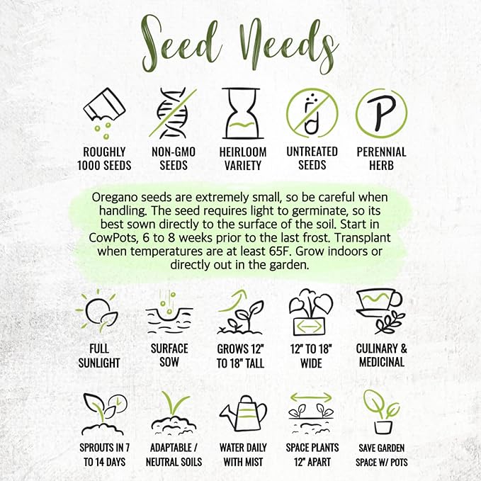 Seed Needs Oregano Seeds for Planting Italian Herbs - Non-GMO Heirloom & Untreated Culinary Herb Seed - Grow Indoors or Outdoors for a Kitchen Garden (1 Pack)