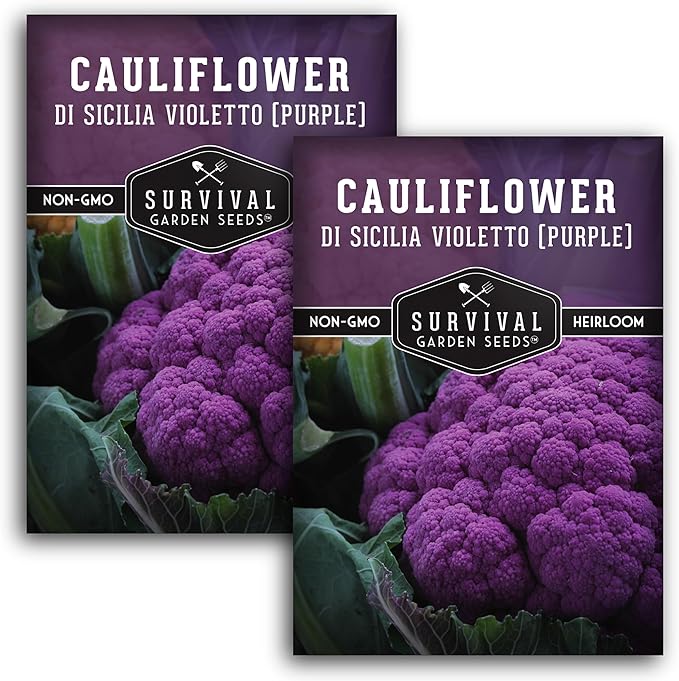 Purple Cauliflower Seeds for Planting – Violetto di Sicilia – Heirloom Italian Cauliflower Variety Producing Deep Violet Heads - Non-GMO, Open-Pollinated - Survival Garden Seeds (2 Packs)