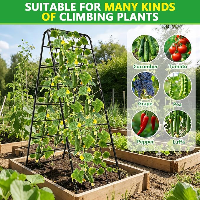 2 Pack 49"x16.3" Adjustable Garden Trellis for Climbing Plants Outdoor, Heavy Duty Rust-Proof Metal Cucumber Trellis A Frame Trellis for Raised Bed Pea Tomatoes Grape Vegetables