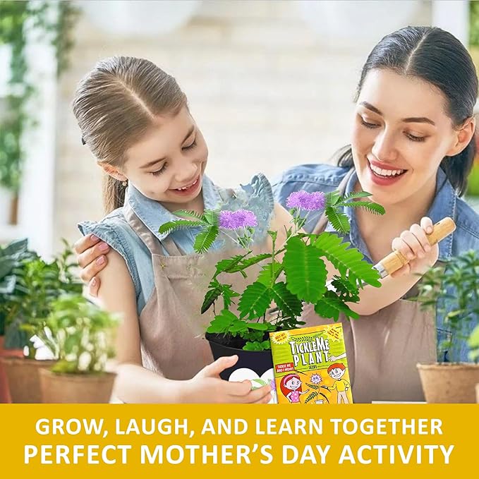 Mother’s Day Gift for Mom – TickleMe Plant – Moves When Touched – Grows Pink Flowers – “I’m Tickled You’re My Mom” – Unique Gift from Kids – Easy Indoor Kit