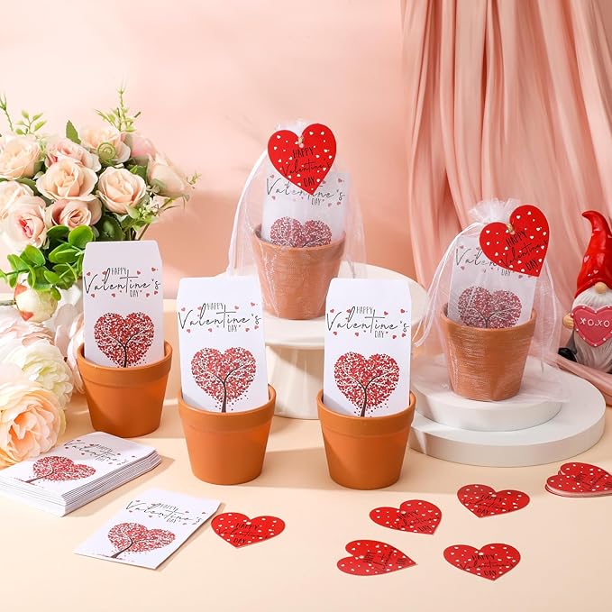 Ctosree 24 Sets Valentine's Day Gifts Bulk Heart Seed Packet Valentine's Day Party Favor for Guests with Seed Packets Flowerpot Tags Organza Bags for Galentine Valentines Exchange Gifts