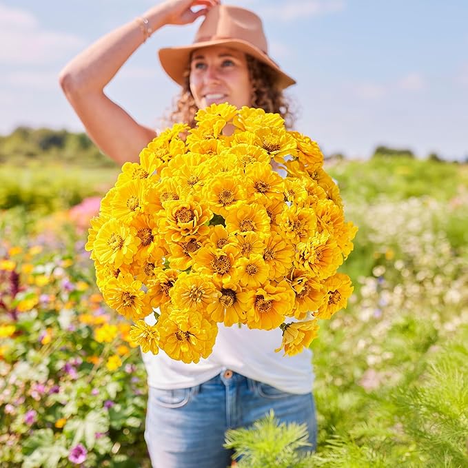 Eden Brothers Zinnia Seeds - Golden State, Non-GMO Seeds for Planting, 1/4 lb | Low-Maintenance Flower Seeds, Plant During Spring, Zones 3, 4, 5, 6, 7, 8, 9, 10