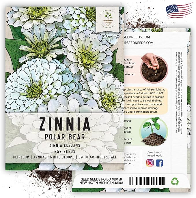 Seed Needs Polar Bear White Zinnia Seeds for Planting - Heirloom & Untreated - Grow a Butterfly Garden to Attract Butterflies, Bees and Pollinators - Great Cut Flowers (1 Pack)