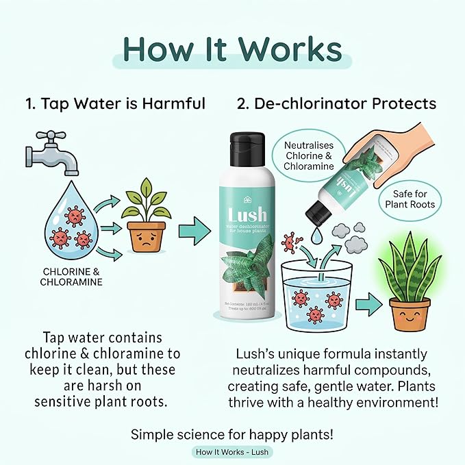 Lush Houseplant Dechlorinator – Ultra-Concentrated Water Conditioner for Healthier Plants 120ml (4oz) | Treats 600 Gallons