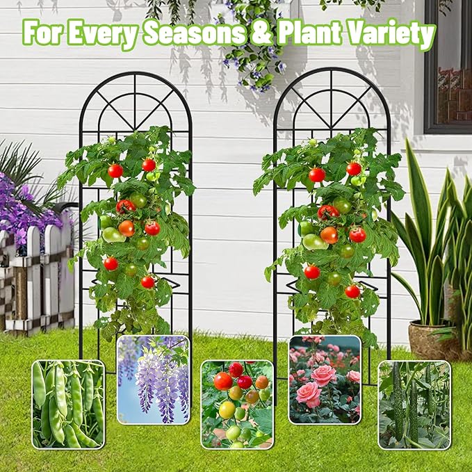 Garden Trellis for Climbing Plants, 3 Pack 38"Wx 64.6"H Rustproof Flower Trellis with Black Coating, Outdoor Climbing Rose Trellis Cucumbers Support for Courtyards Lawns (Black-Linear Shape, 3 Pieces)