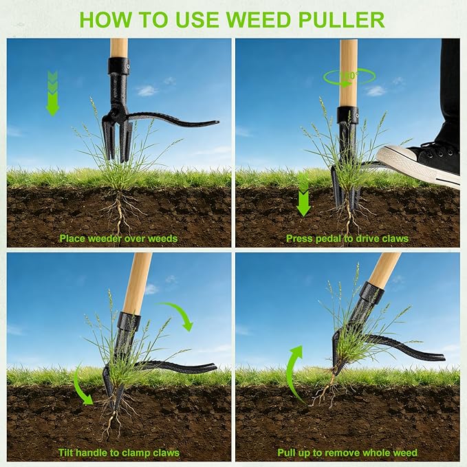 Stand Up Weed Puller Tool - 4-Claw Steel Head, 31"-44.5" Adjustable Long Handle, Heavy Duty Garden Weeder with Foot Pedal, Easy Root Removal for Lawn, Yard, Garden & Flower Bed