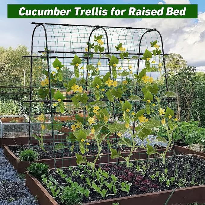 5ft Metal Cucumber Trellis for Raised Bed, Garden Arch for Climbing Plants, Black, Semicircular, Polyethylene Coated, Modern Style, Formal, Classic, Decorative