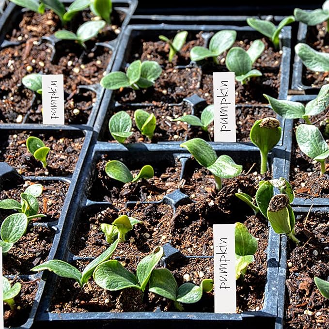 Foraineam 1000 Pcs 4 Inches Plant Labels Plastic Plant Tags Nursery Garden Labels Pot Marker Garden Stake Tags