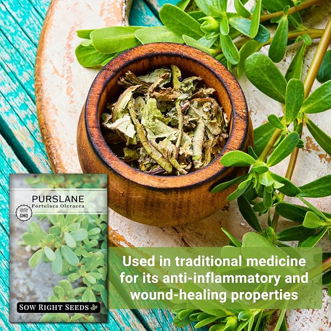 Sow Right Seeds - Purslane Seeds for Planting - Non-GMO Heirloom Packet with Instructions to Grow an Outdoor or Indoor Vegetable Garden - Rare Edible & Culinary Variety - Medicinal Benefits & Uses (4)