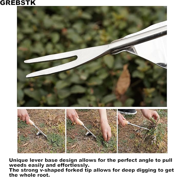 GREBSTK Hand Fork Stainless Steel Beech Handle Garden Tool Hand Weeder Fork for Aerating, Planting, Spreading Mulch, Weeding, Loosening, Transplanting Soil