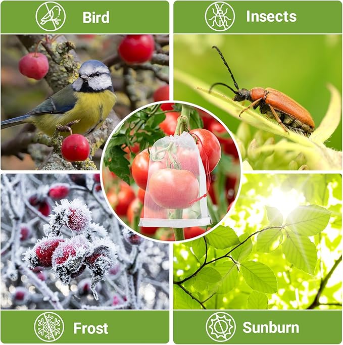 Fruit Protect Bags, 50pcs 4x6 in Garden Netting Bags with Drawstring Against Fruits Flies Bugs Birds Insects, Fruit Tree Bags for Protecting Apple Tomato Peach Figs Guavas Citrus
