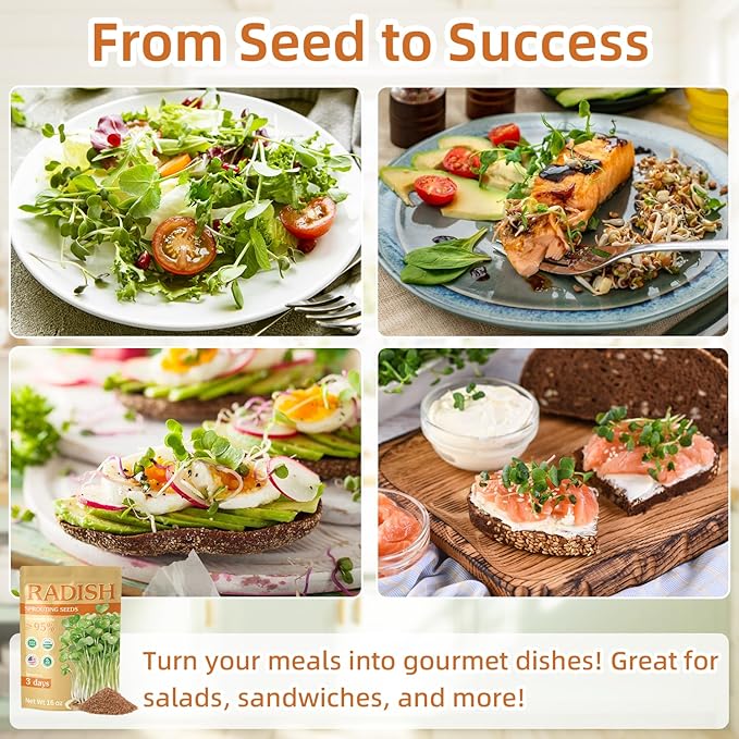 Organic Radish Sprout Seeds (16 oz), Certified Non-GMO, Heirloom Seeds, Premium Radish Sprouting Seeds for Sprouting and Microgreens, High Yield High Germination, Resealable Bag