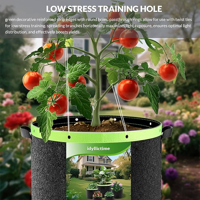 Grow Bags 6 Pack 2MM 400G More Heavy Duty Thickened Nonwoven Garden Plant Fabric Pots (Black, 2 Gallon)