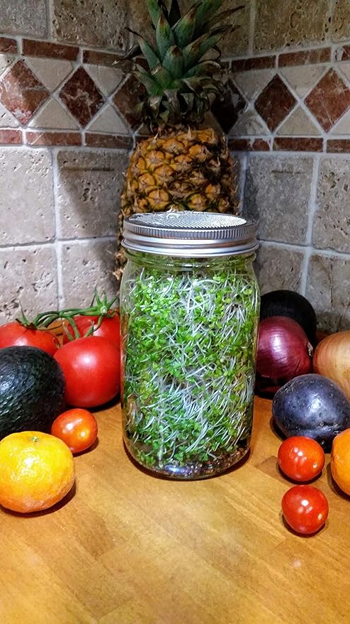 Sprouting Jar with Screen Lid-316 Stainless Steel 100% Rust Free, Wide Mouth Quart Mason Jar Kit Sprouter, Organic Healthy Fresh Broccoli, Alfalfa, Mung Bean Sprouts and more (Seeds not included)