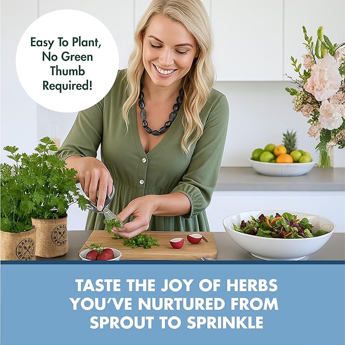 Garden Republic Indoor Herb Garden Kit - DIY Herb Plants Starter Economy Kit - Grow Kits for Growing Herbs Indoors, Kitchen, Balcony, Window Sill - Basil, Parsley, Cilantro