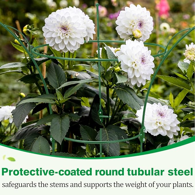 6 Pack Peony Cages and Supports Cages 13" D x 22.8" H Heavy Duty Metal Support Frame for Peonies & Roses Natural Bouquet Shape Garden Stakes for Outdoor Plants Flowers Ornamental (Green)