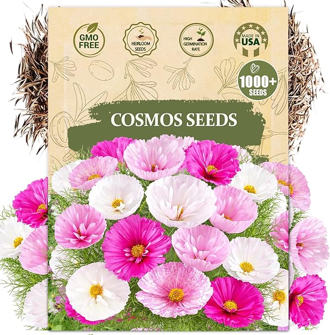 Cosmos Flower Seeds for Planting - 1000+ Heirloom Non-GMO Double Petal Mix - Large Blooms Annual Cut Flowers for Garden Beds, Borders & Bouquets