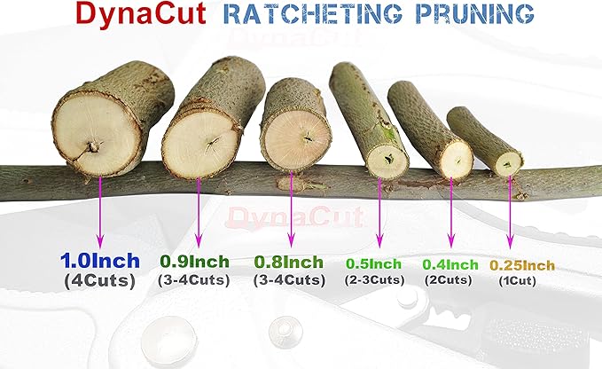 Ratcheting Pruning Shears Gardening Heavy Duty 8'', Professional Ratchet Pruning Scissors Cutter Anvil Clippers - Tree Trimmers Up To 20mm Cutting Capacity, Soft Non-Slip Grip Reduce Hand Fatigue