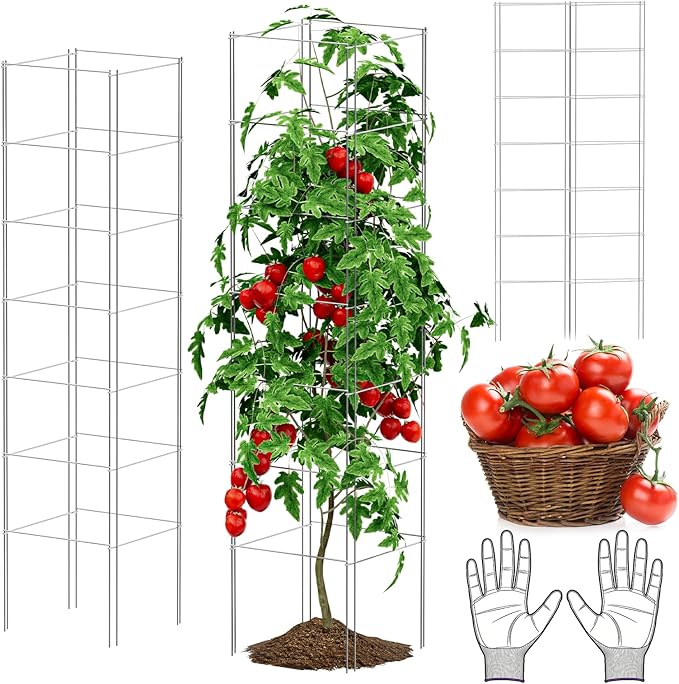 SPECILITE Square Foldable Tomato Cages 3 Pack, 13" W x 56" H Heavy Duty Galvanized Steel Plant Support Trellis for Garden, Tomatoes, Plant, Tool-Free & Rust Resistant for Outdoor Use (Include Gloves)