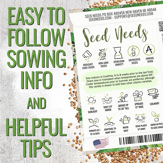 Seed Needs Cilantro Seeds for Planting Herb Seed | 3,500+ Non GMO Heirloom & Untreated Seeds | 1.5 Ounce Bulk Package Coriander Seed | Great for Hydroponics, Home Gardens or Grown as a Garnish