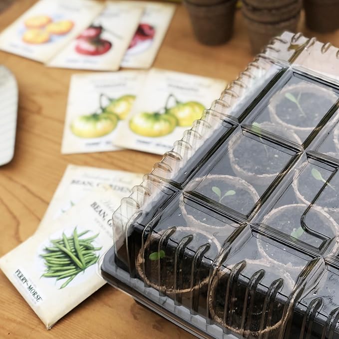 Jiffy Plant Germination Tray - Durable, Watertight, No-Hole, Lightweight - 10.75 x 21 in, 10-Pack - Plastic