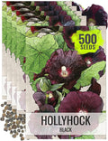 Seed Needs, Black Hollyhock Seeds - 100 Heirloom Seeds for Planting Alcea rosea - Great for Gothic Gardens, Open Pollinated Biennial That Attracts Pollinators (5 Packs)