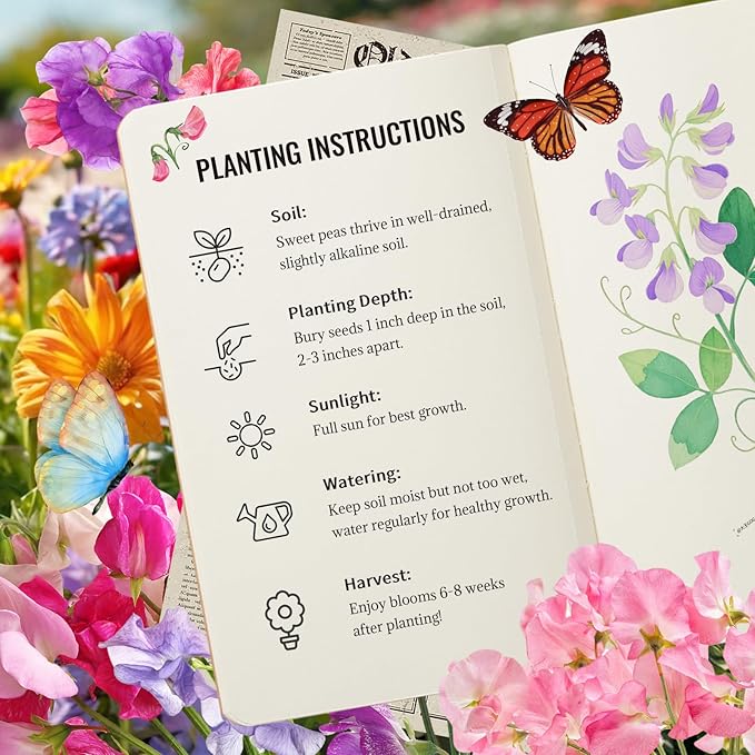 Sweet Pea Seeds 200 Seeds - Non-GMO Heirloom Seeds Brightly Colored Flowering Vines for Pergolas, Flower Beds, Balconies and Patios