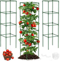 Unves 3 Pack Tomato Cage for Garden, 16" W x 66" H Square Tomato Trellis Plant Support Frame with 50 Pcs Plant Clips, Suitable for Climbing Vegetables, Flowers, and Fruits