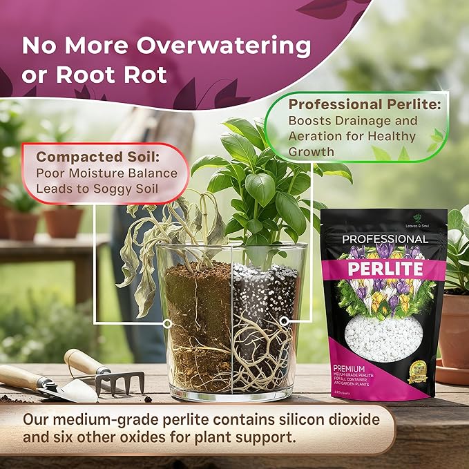 Professional Perlite for Plants 2.2 Quarts, Medium Grade Perlite Soil Additive for Indoor Outdoor Plants, Perlite for Gardening, Lightweight pH Neutral Soil Amendment, Made in USA
