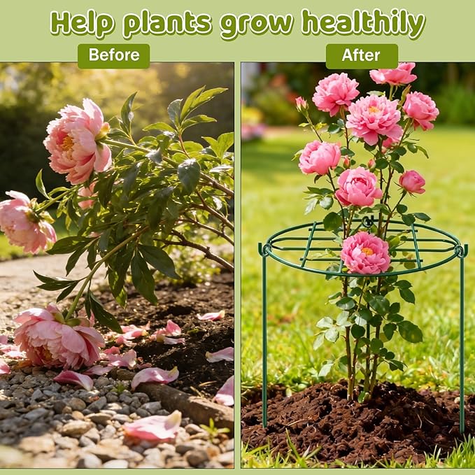 8 Pack 12 x 15.7 inch Peony Cages and Supports,Metal Grow Through Plant Supports for Outdoor Plants,Flowers Support Rings Top-Heavy Plant Brace Support Hoop for Vegetables,Rose,Tomato,Orchids