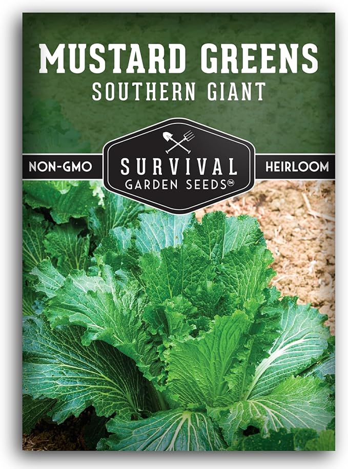 Southern Giant Mustard Green Seeds for Planting – Heirloom Non-GMO Spicy Greens, Heat Tolerant and Slow to Bolt for Home Vegetable Gardens - Survival Garden Seeds (1 Pack)