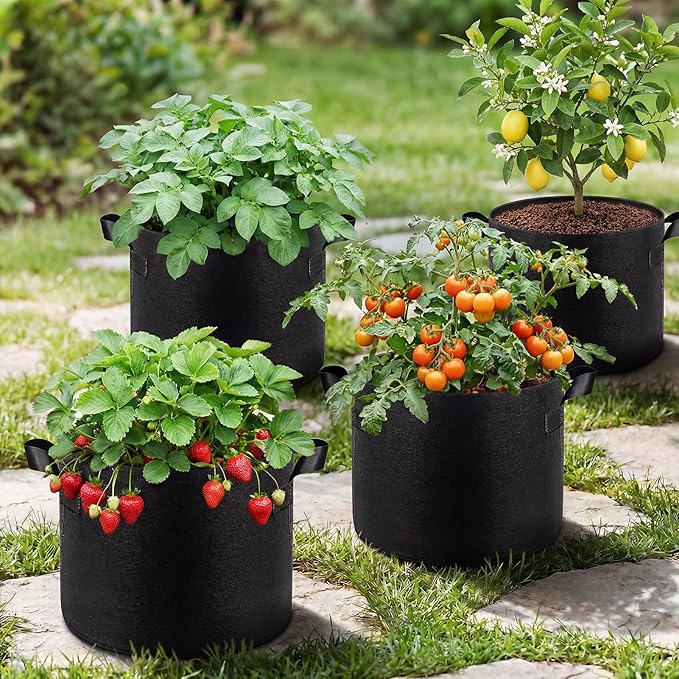 Songrey Grow Bags 5 Gallon 5 Pack, Thickened Nonwoven Fabric Pots with Handles, Heavy Duty Garden Planter for Tomato, Vegetables and Flower